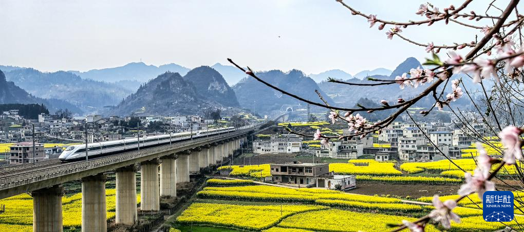 快讯：雄安新区概念股回暖 南国置业和常山药业涨停